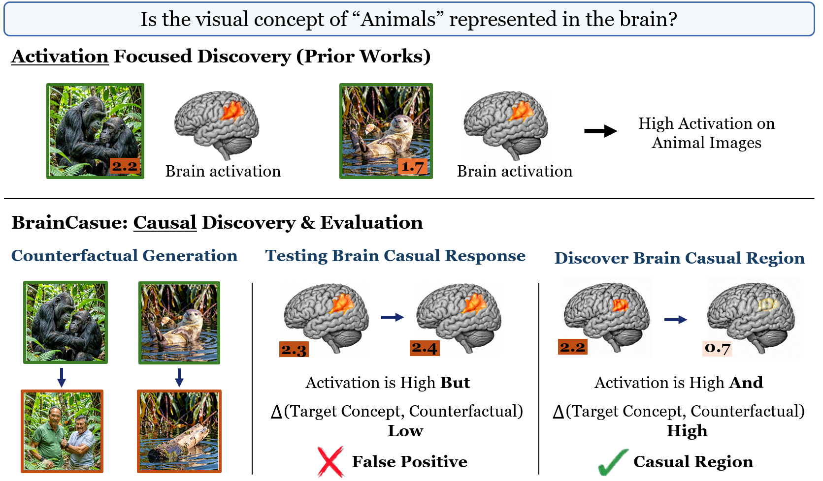BrainCause teaser comparing activation-focused discovery with causal discovery and evaluation