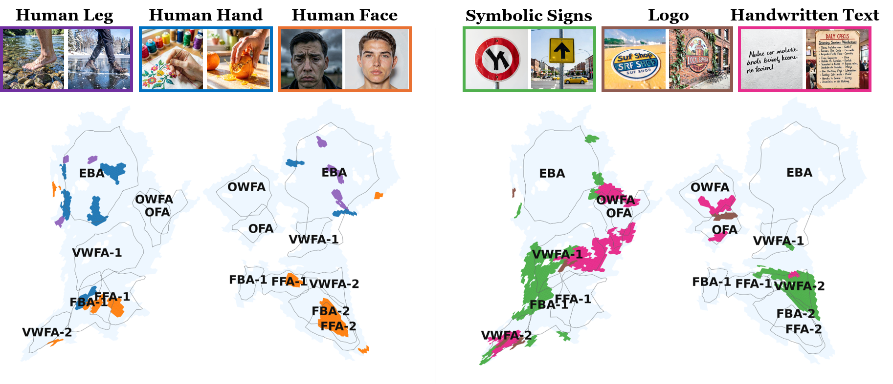 Fine-grained organization of related body and text concepts across cortical maps