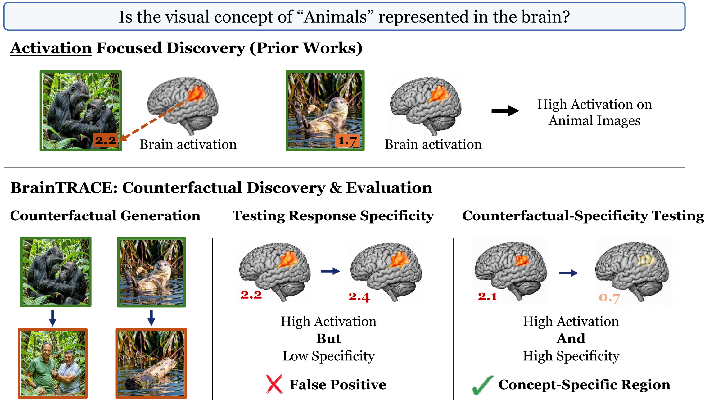 BrainTRACE teaser comparing activation-based discovery with counterfactual-specificity testing